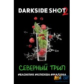 Табак Dark Side Shot Северный Трип 30г Акцизный